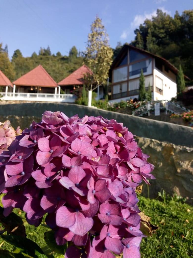 Hotel Cabanas El Rincon De Las Campanas Nobsa ภายนอก รูปภาพ